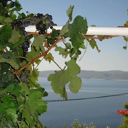 Vakantiehuis Marusici