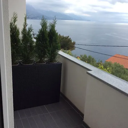 Marusici *