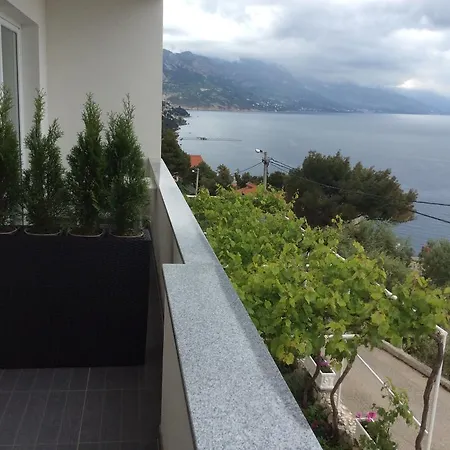 Marusici Marusici (Split-Dalmatia)